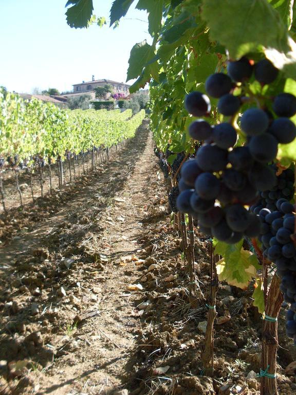 Vagliagli Agriturismo Amina, Winery & Hiking מראה חיצוני תמונה