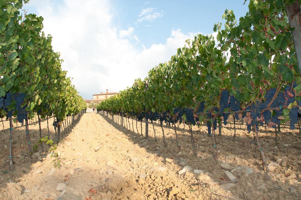 Vagliagli Agriturismo Amina, Winery & Hiking מראה חיצוני תמונה