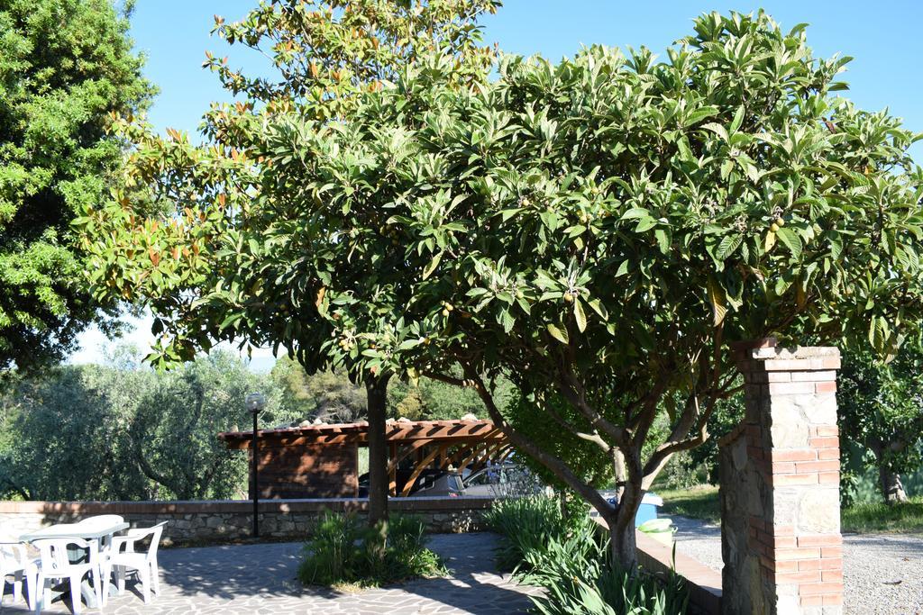 Vagliagli Agriturismo Amina, Winery & Hiking מראה חיצוני תמונה