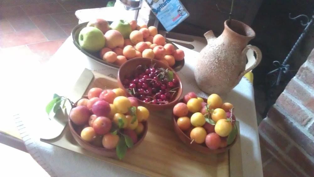 Vagliagli Agriturismo Amina, Winery & Hiking מראה חיצוני תמונה